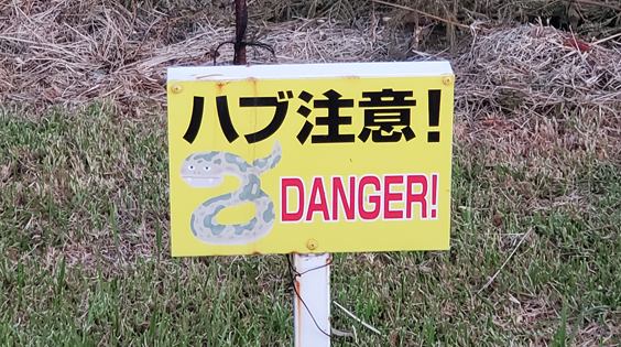 ハブ咬症防止運動